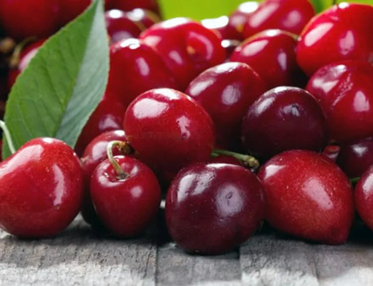 kandungan buah ceri