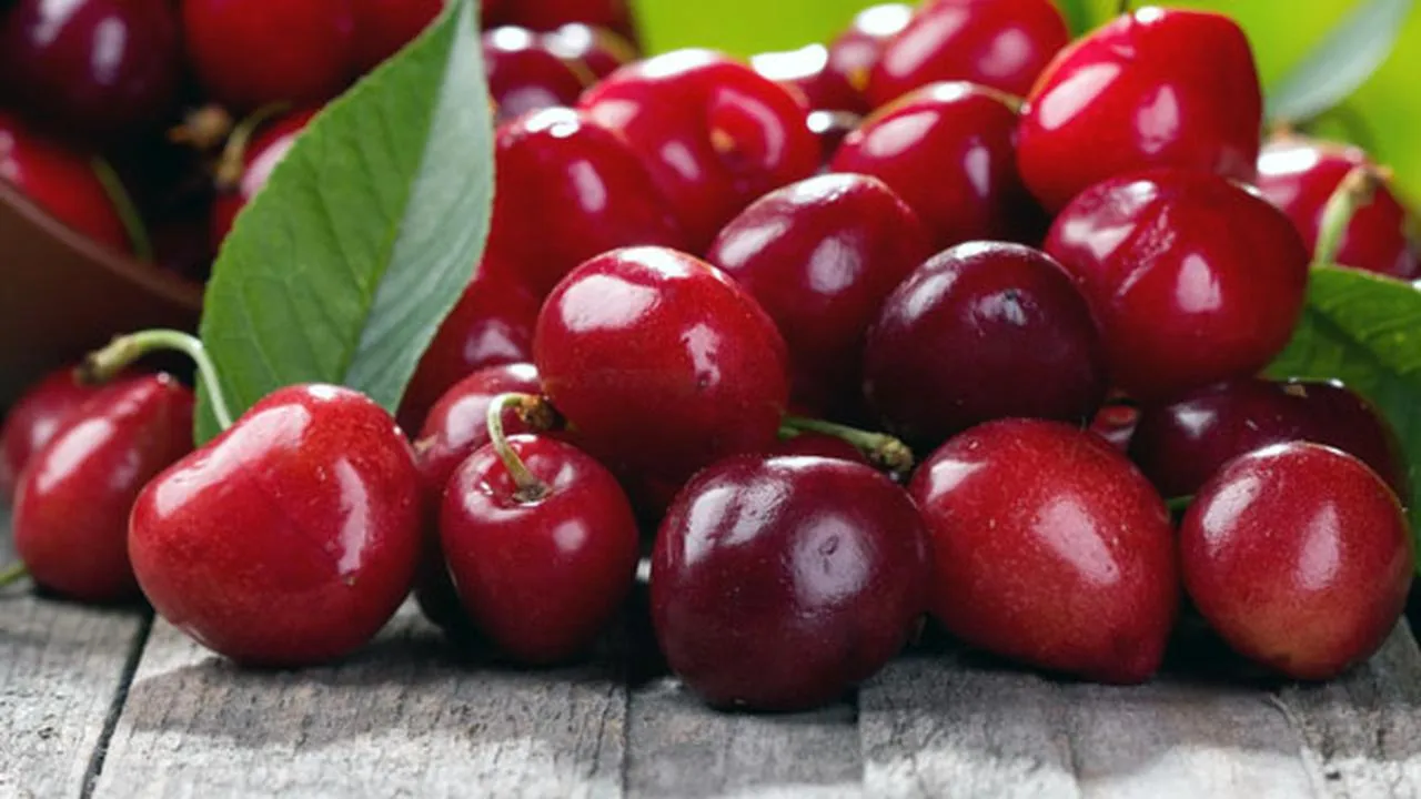 kandungan buah ceri