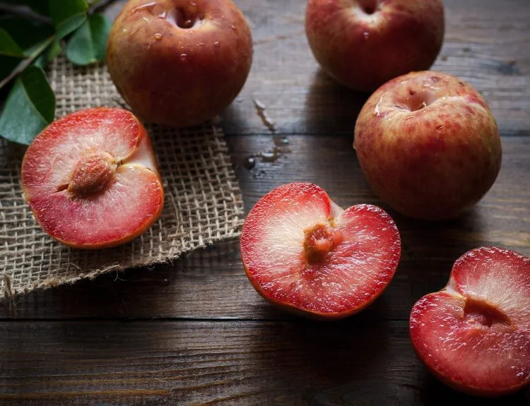 kandungan buah plum