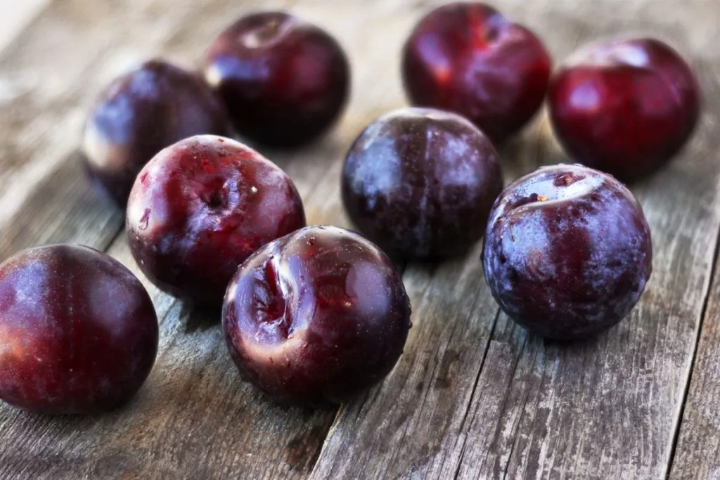 kandungan buah plum