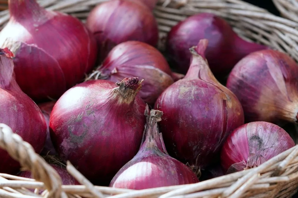 kandungan gizi bawang merah