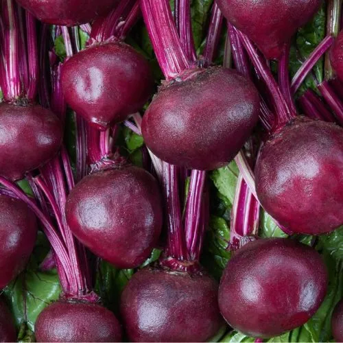 manfaat buah bit untuk wajah
