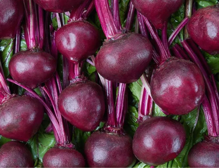 manfaat buah bit untuk wajah