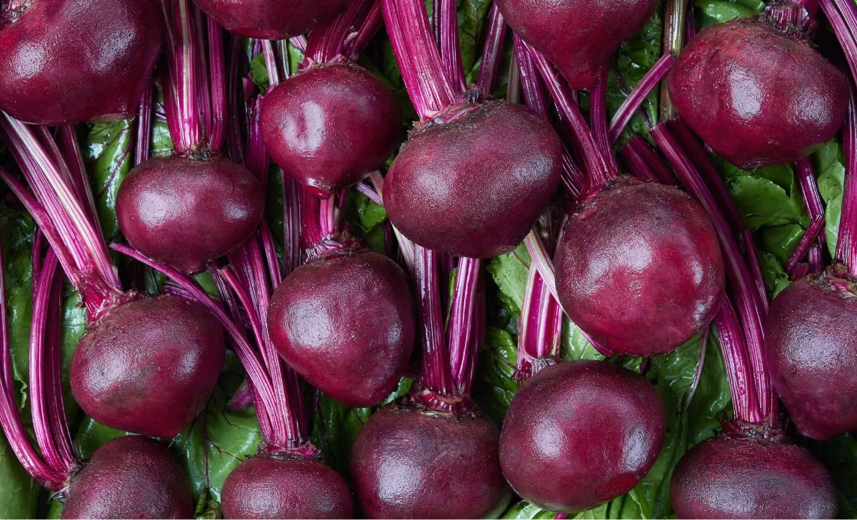 manfaat buah bit untuk wajah