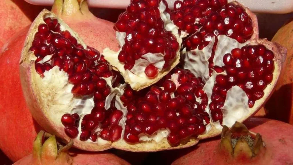 manfaat buah delima untuk wajah
