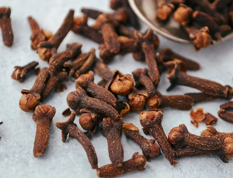 manfaat cengkeh untuk asam lambung
