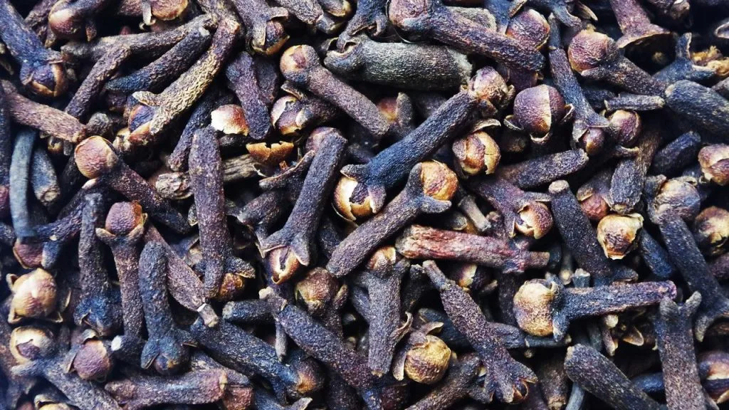 manfaat cengkeh untuk asam lambung