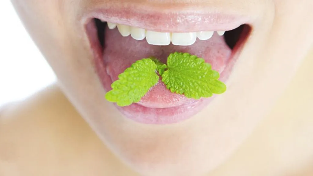 manfaat daun mint untuk kulit wajah