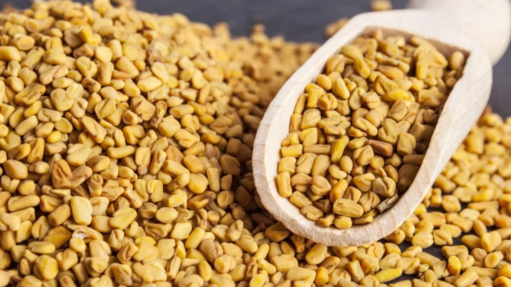 manfaat fenugreek