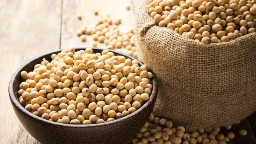 manfaat kacang kedelai adalah