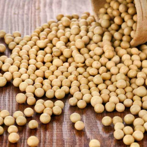 manfaat kacang kedelai adalah