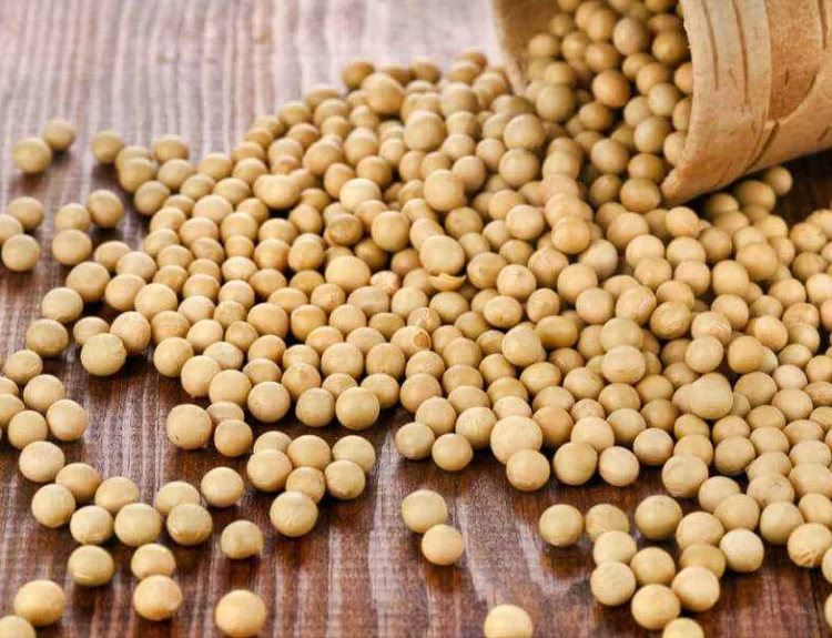 manfaat kacang kedelai adalah