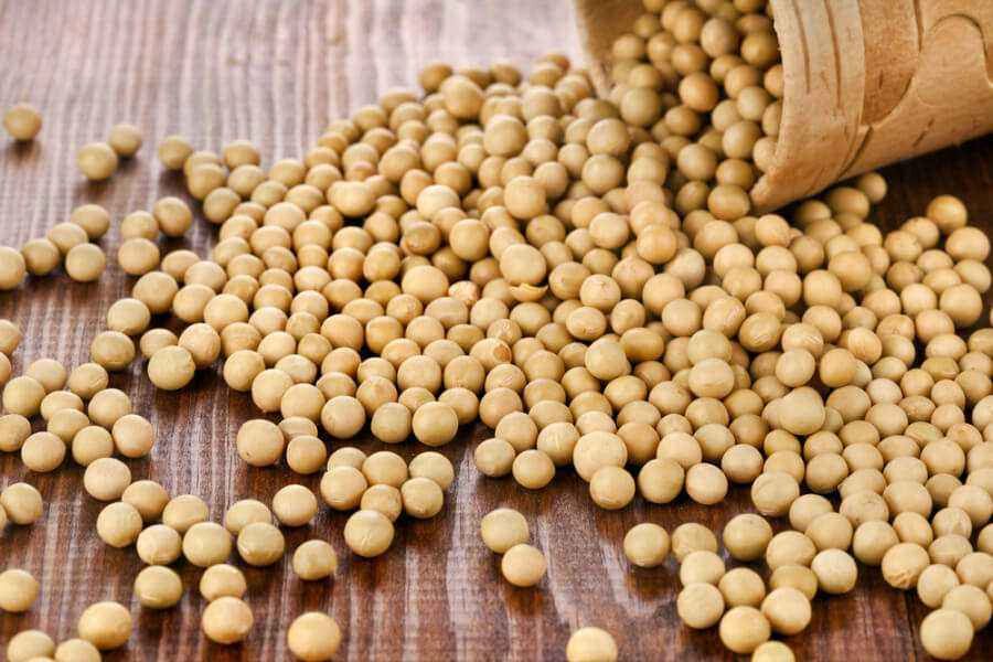 manfaat kacang kedelai adalah