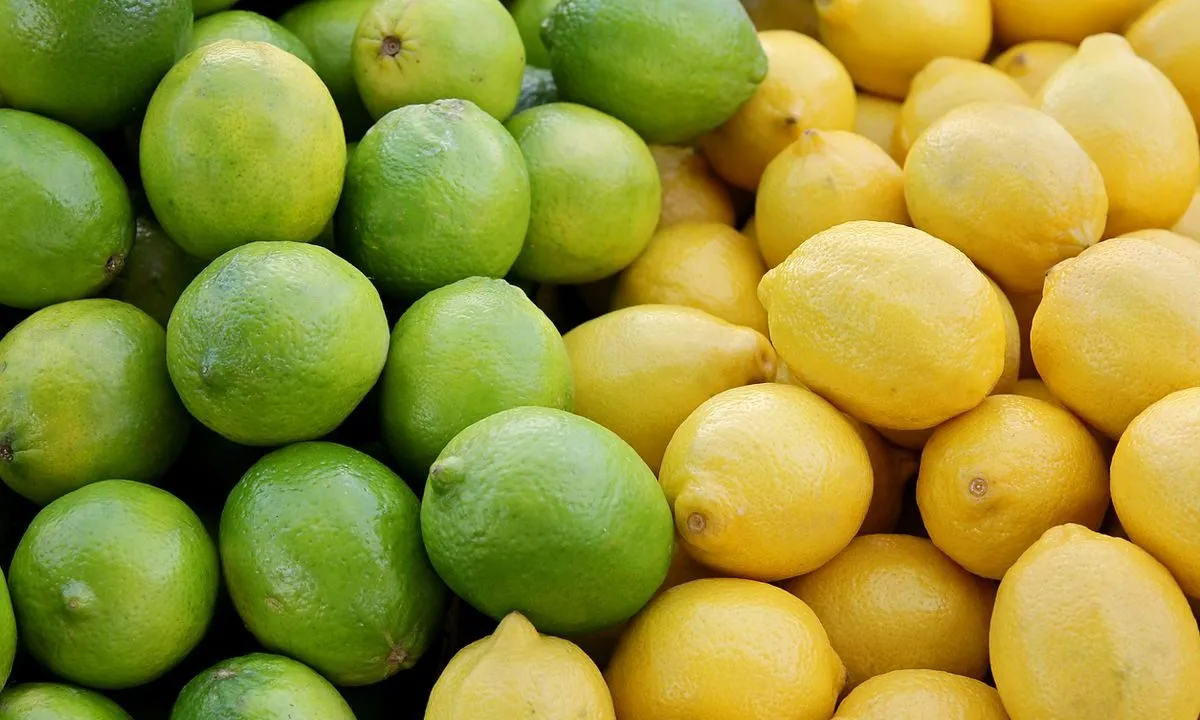 Manfaat Lemon untuk Muka yang Bikin Kulitmu Berseri dan Segar Sepanjang Hari