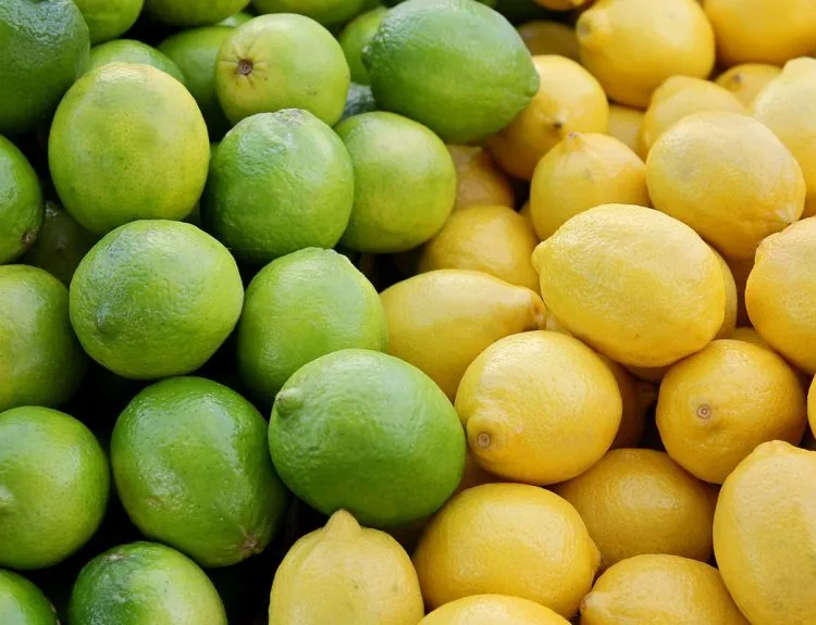 manfaat lemon untuk muka