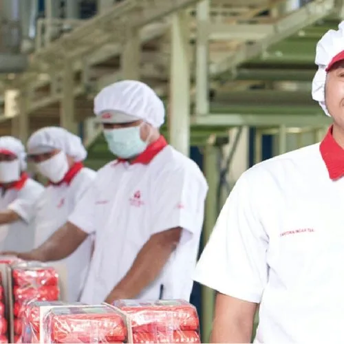 operator packing adalah