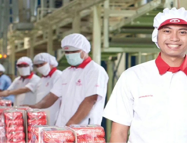 operator packing adalah