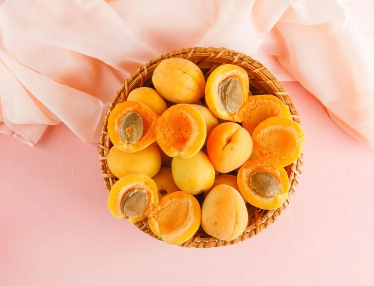rasa buah aprikot