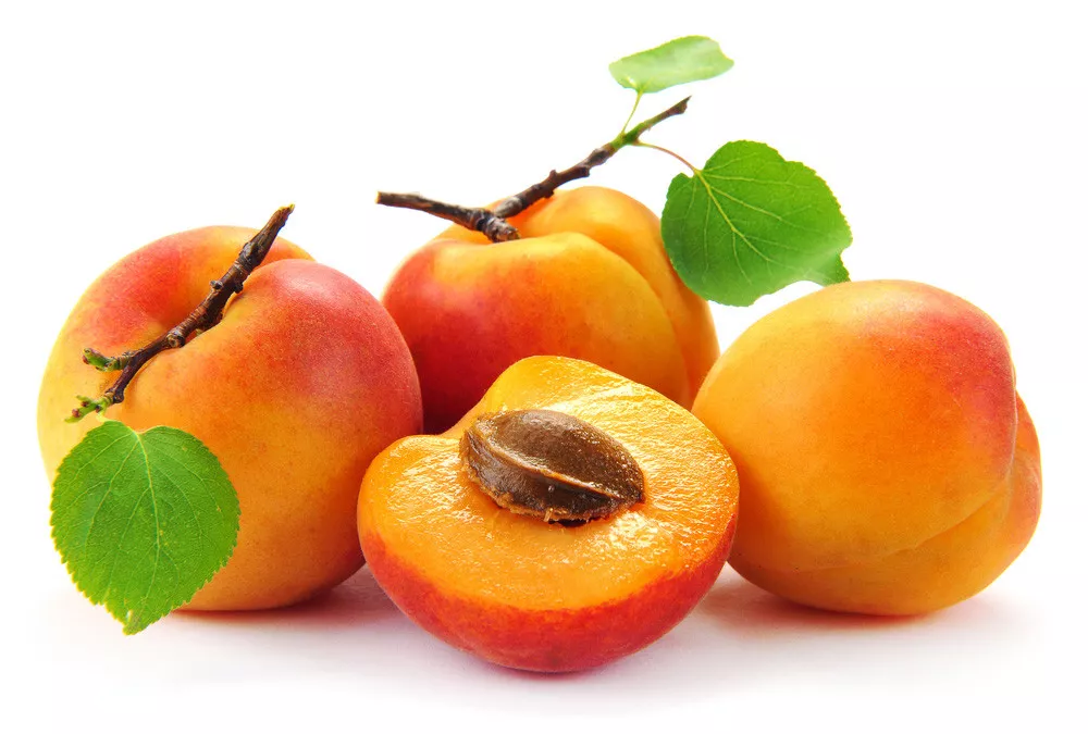 rasa buah aprikot
