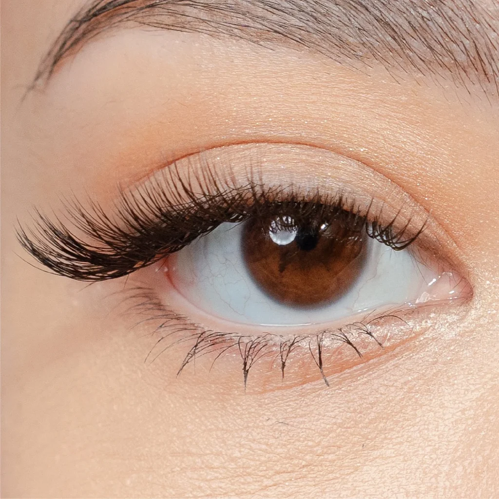 Cat Eye Eyelash Extension