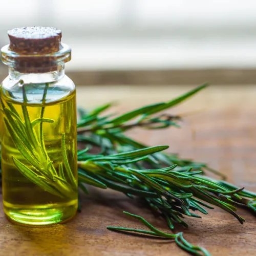 manfaat rosemary untuk rambut