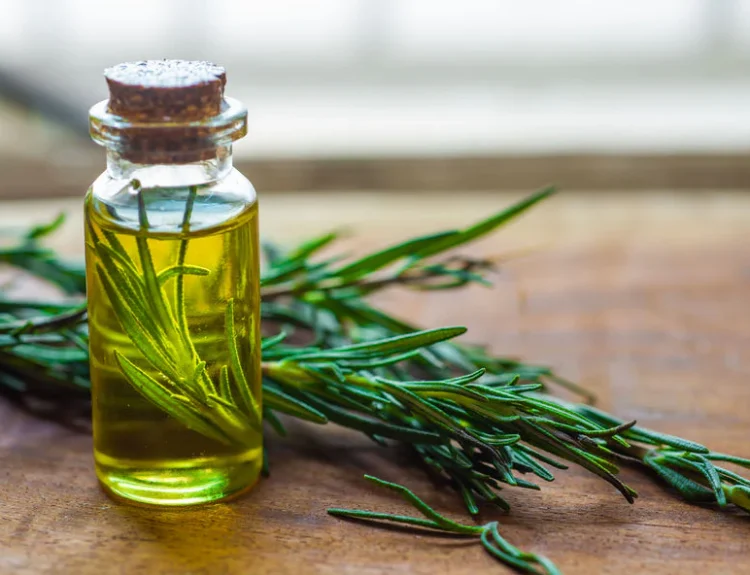 manfaat rosemary untuk rambut