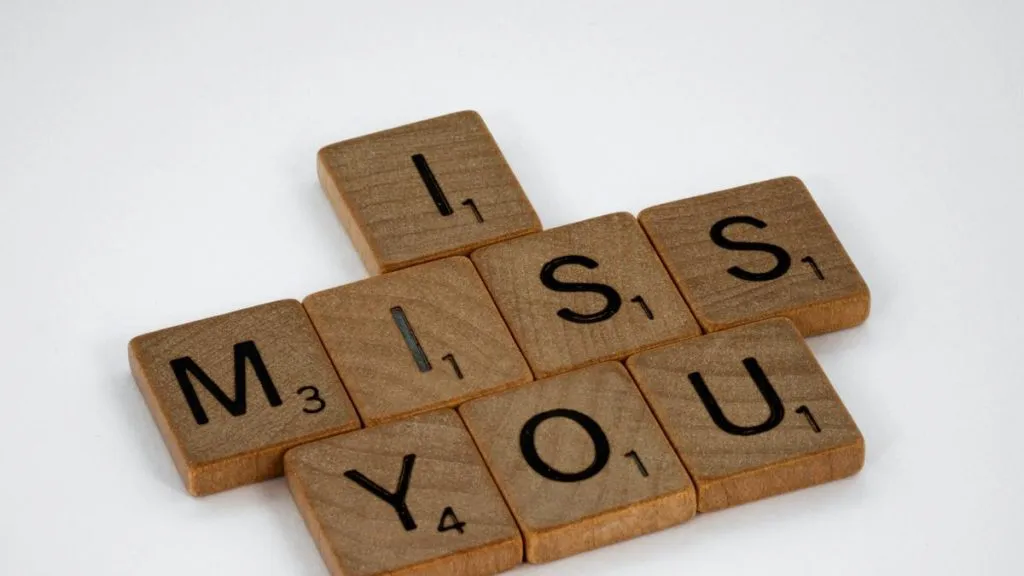miss you too artinya