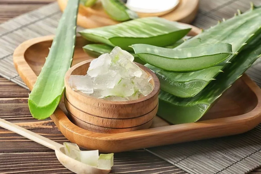 manfaat lidah buaya untuk rambut