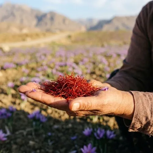 saffron adalah