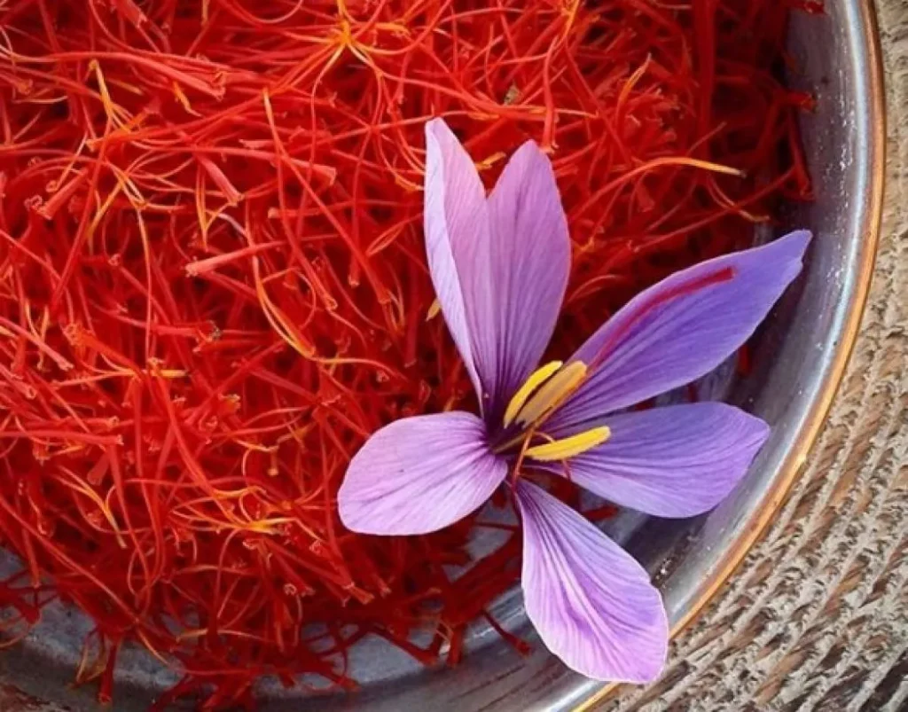 saffron adalah